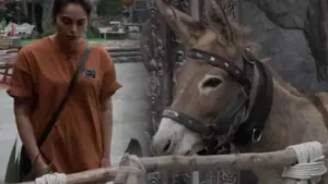 Featured image for: Salman Khan's Bigg Boss 18 Removes Donkey 'Gadhraj' – Here's What Happened! in Entertainment category