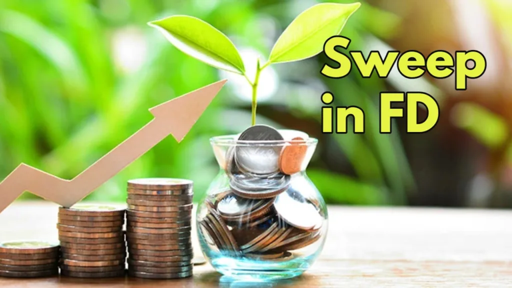 FD Interest Rates Rise: With Stock Market Down, These Banks Offer Up to 8.75% Returns on Fixed Deposits – Secure Your Savings Now