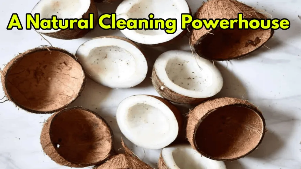 How to Use Coconut Peels for Eco-Friendly Cleaning