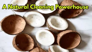 Featured image for: How to Use Coconut Peels for Eco-Friendly Cleaning in lifestyle category
