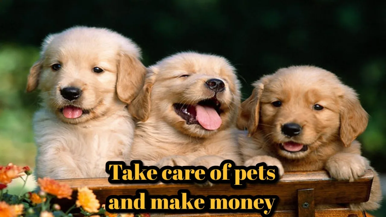 Business Idea: You can