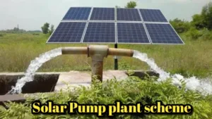 Featured image for: This state farmers will be able to install solar pumps, How much will it cost? in Business category