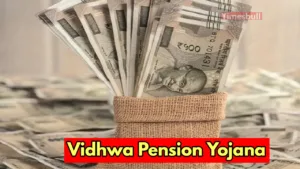 Featured image for: Vidhwa women are getting pension of Rs 1500 per month, apply soon in Business category