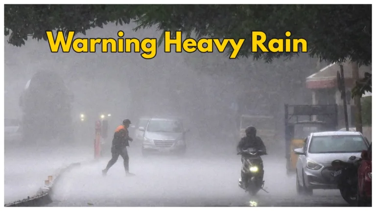 Monsoon Forecast – Meteorological Department Alert Issued, Heavy Rains Predicted in these states next 24 hours