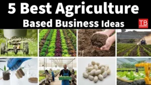 Featured image for: 5 Top-Notch Agri-Businesses You Can Start with a Small Budget (Video In Hindi) in Business category