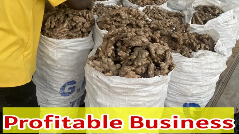 This business idea can fetch a lot of money during the winter; know the details 