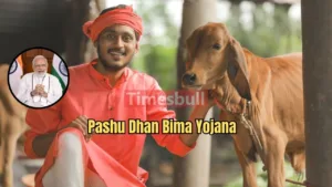 Featured image for: Pashu Dhan Bima Yojana: Government Launches Scheme for Livestock Farmers and Cowherds - Full Details Inside in Business category