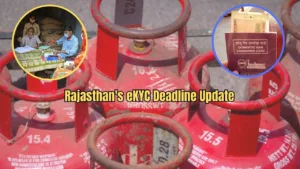 Featured image for: Rajasthan's eKYC Deadline: Complete These Tasks or Lose Access to Ration and Gas Cylinder After November 30 in Business category