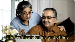 Featured image for: A complete guide for pensioners who make and submit life certificates online, Know the process in Business category