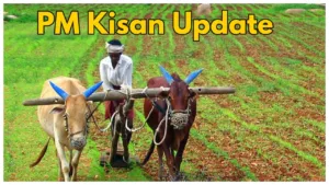 Featured image for: PM Kisan Update - Next 19th Installment Likely Released in February in Business category