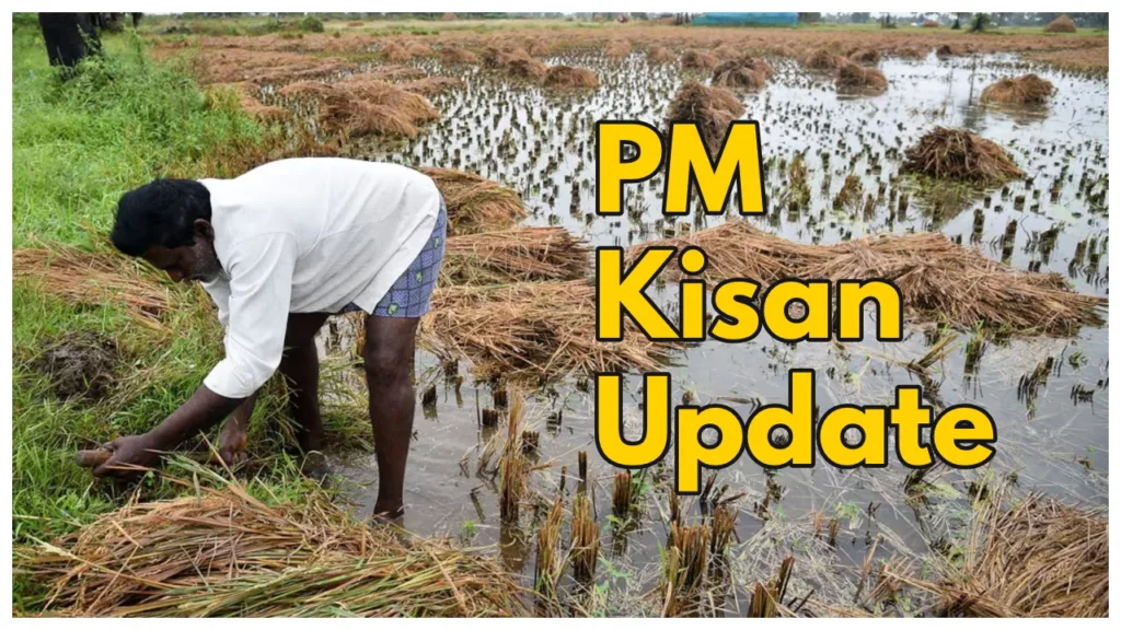 PM Kisan Yojana: Application process in details, farmers will get Rs 6000
