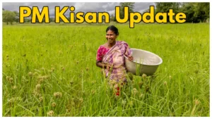 Featured image for: PM Kisan 19th Installment Update - Rs 2,000 will be not credited to your account in Business category