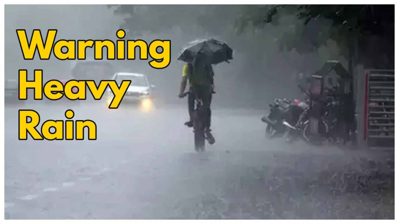 Weather Forecast – Meteorological