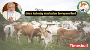 Featured image for: AHIDF Scheme Update: 3% Interest Discount to Boost Benefits for Cattle Farmers and Milk Producers - Know All Details Here in Business category