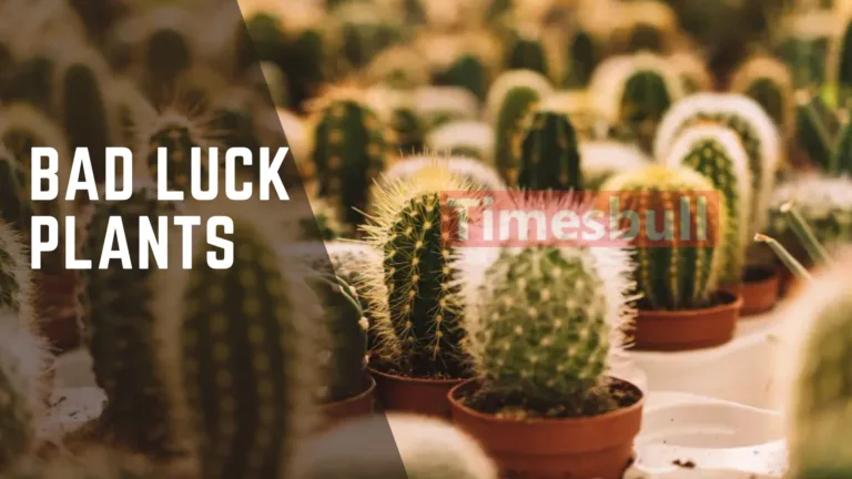 Bad Luck Plants