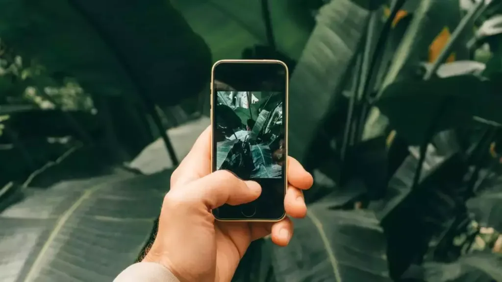 Best camera phones under 10000 for travel photography