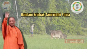 Featured image for: UP Cow Subsidy Yojana: Yogi Govt to Provide 25 Indigenous Cows to Farmers – Eligibility, Application, and Details Inside in Business category