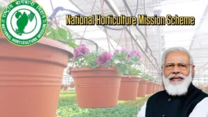 Featured image for: National Horticulture Mission Scheme: Farmers Can Avail Benefits, Know the Application Process in Business category
