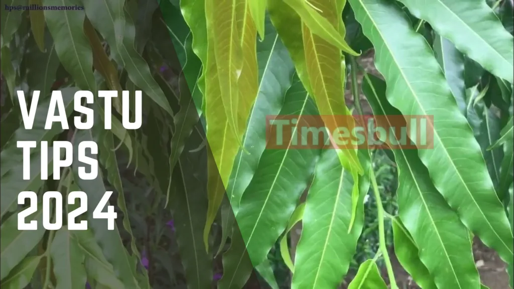 Vastu Tips: The leaves of this tree are amazing, you will become rich as soon as you keep them in your house