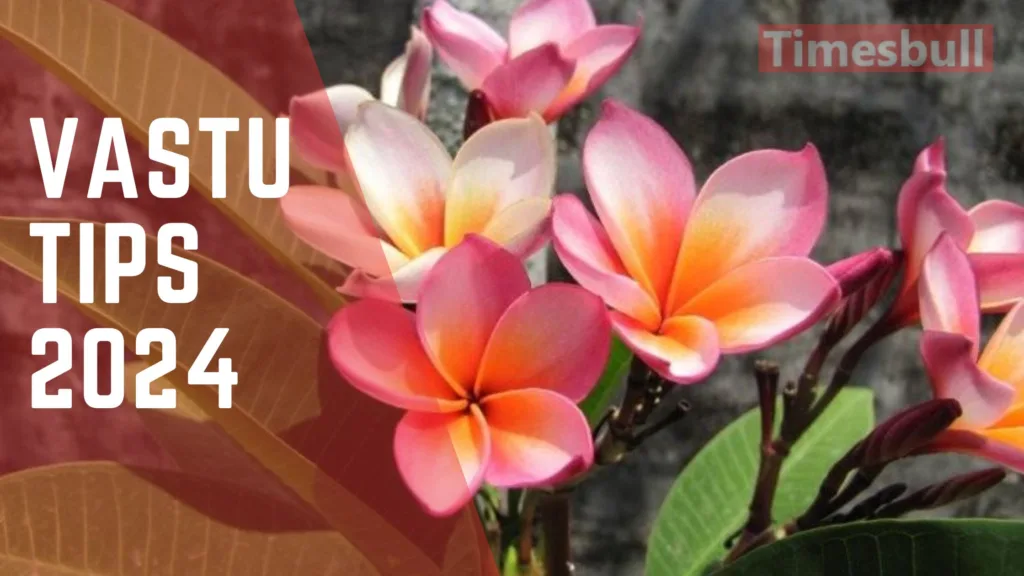 Vastu Tips 2024: If you are not getting success even after working hard, then follow these Vastu remedies