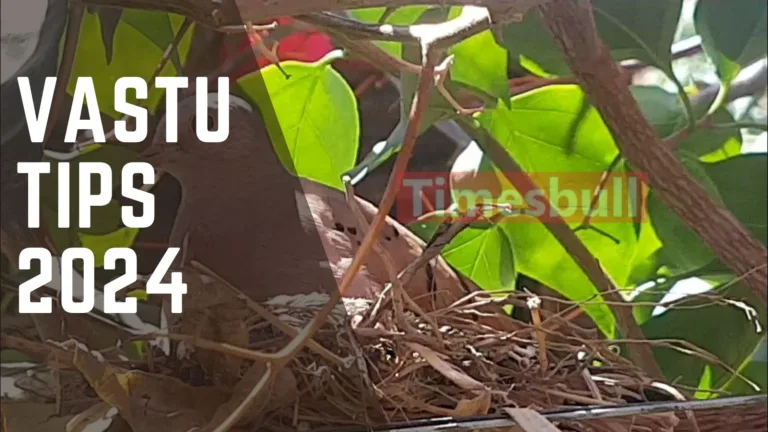 Vastu Tips: Making Bird or Pigeon Nest In The House Has Direct Impact On The Bank Balance, Know The Result