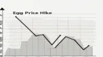 Egg Price Hike