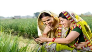 Featured image for: What is PM Solar Chulha Yojana? Modi government is giving free solar stove to women in Business category