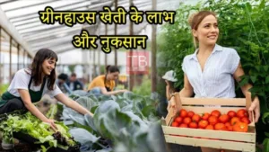 Featured image for: Advantages and disadvantages of greenhouse farming: know the complete information in one video in Business category