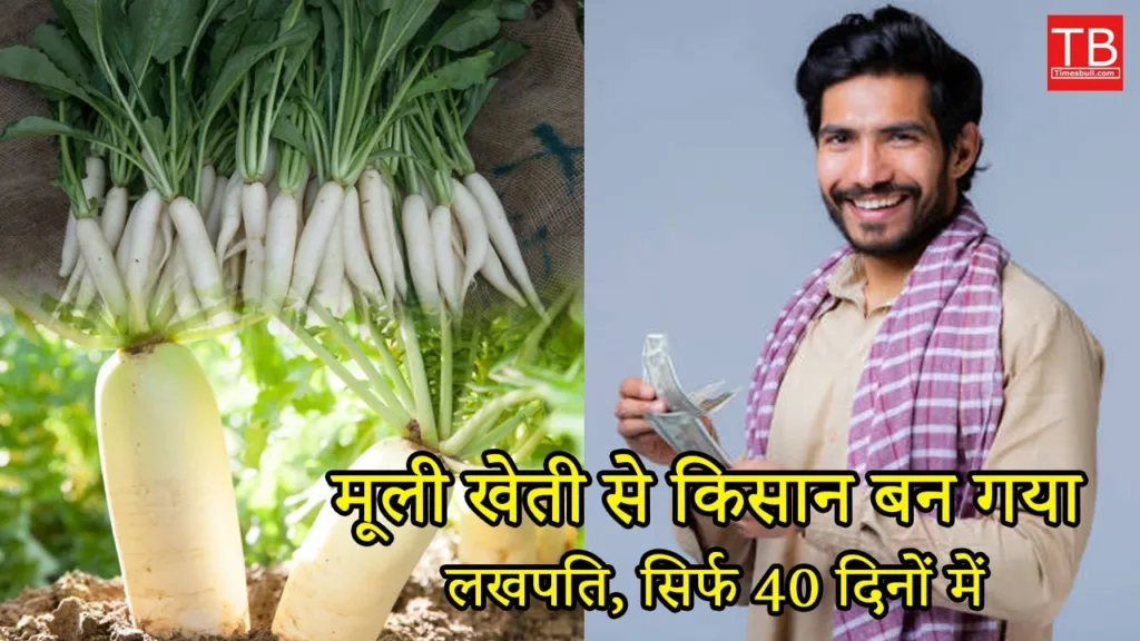 White radish farming: Know how to become rich
