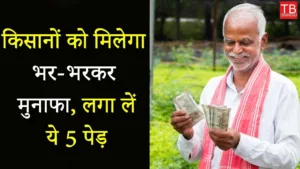 Featured image for: Top 5 High-profit Trees: Let's find out which are those trees in Business category