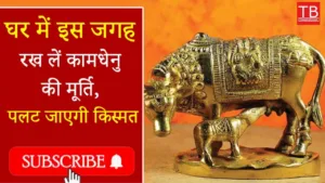 Featured image for: Keep the idol of Kamdhenu at this place in the house: Know where to keep it and you will become rich in Business category