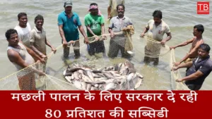 Featured image for: Government giving 80 percent subsidy for fish farming: Apply easily from here in Business category