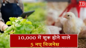 Featured image for: Top 5 profitable village business ideas start under 10,000 in 2025: Know full details in one click in Business category