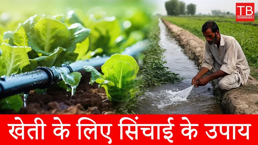 Irrigation measures for farming: Know which are those important measures