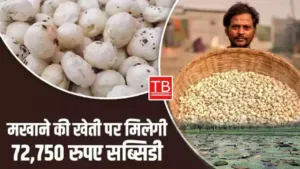 Featured image for: Government offer Rs 72,750 subsidy for fox nut farming: Know how you can get its benefits in Business category