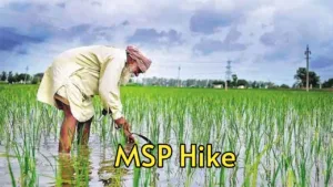 Featured image for: New Year's gift to farmers, govt increases MSP of copra for 2025 season in Business category