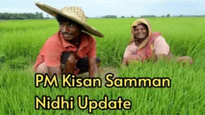 Featured image for: PM Kisan Samman Nidhi: Last date is 31st December, do this work and get Rs 6000 in Business category