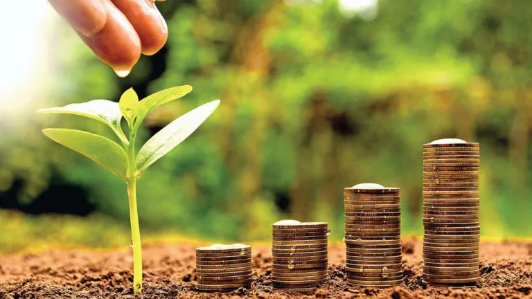 Mutual fund SIP investors have made big money in a year! the figures will amaze you 