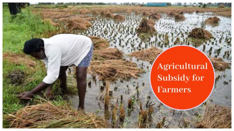 Good News for Farmers – Govt May Transfer directly Money for fertilizer & seeds into the account?