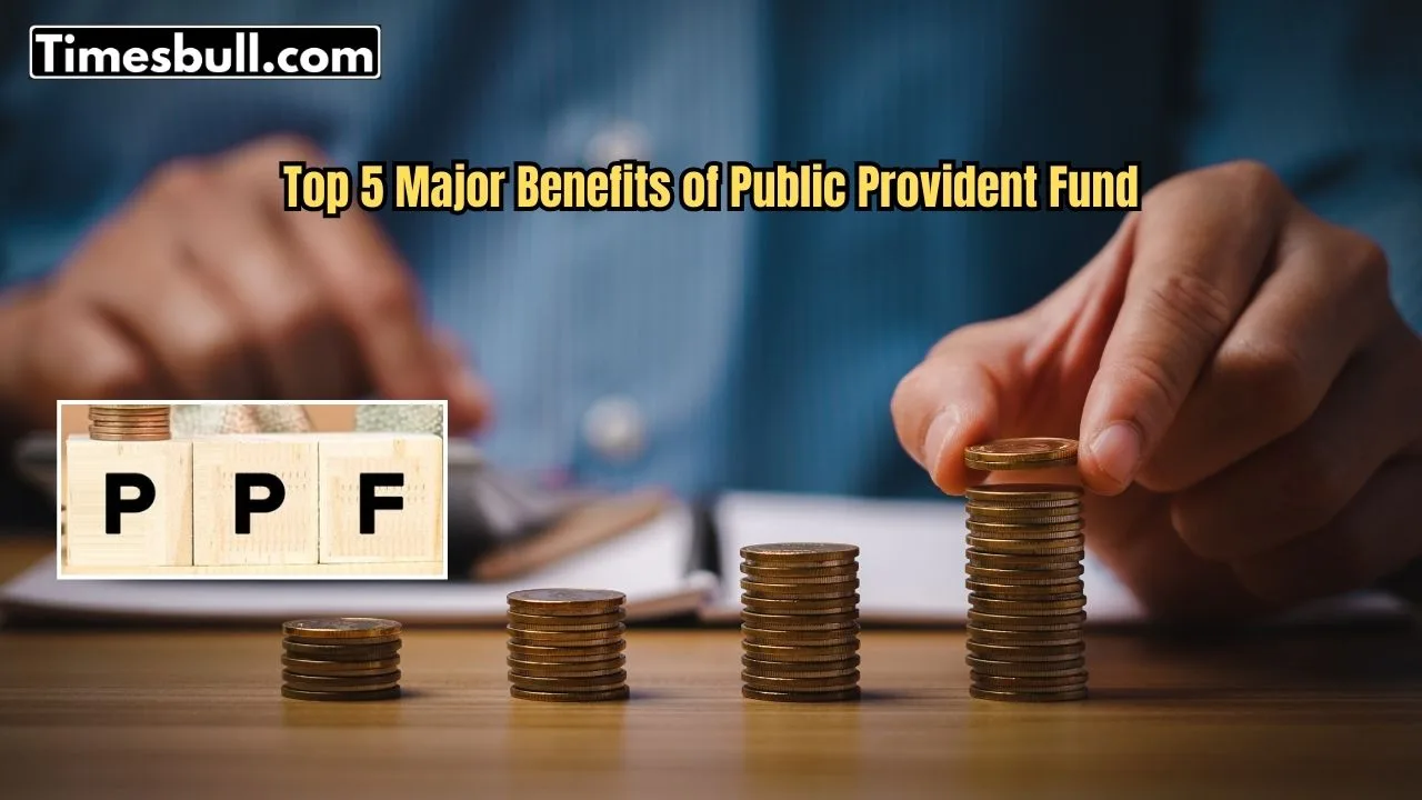 PPF: A Single Investment