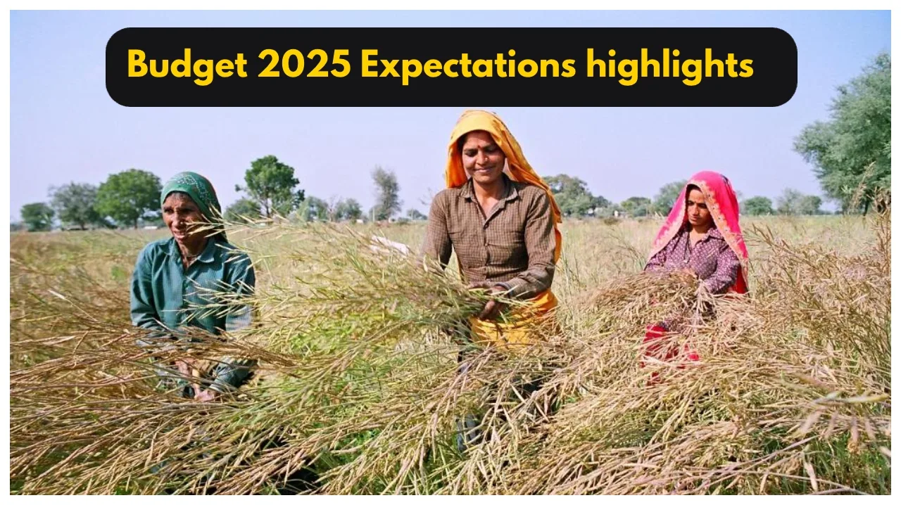 Budget 2025 Expectations –