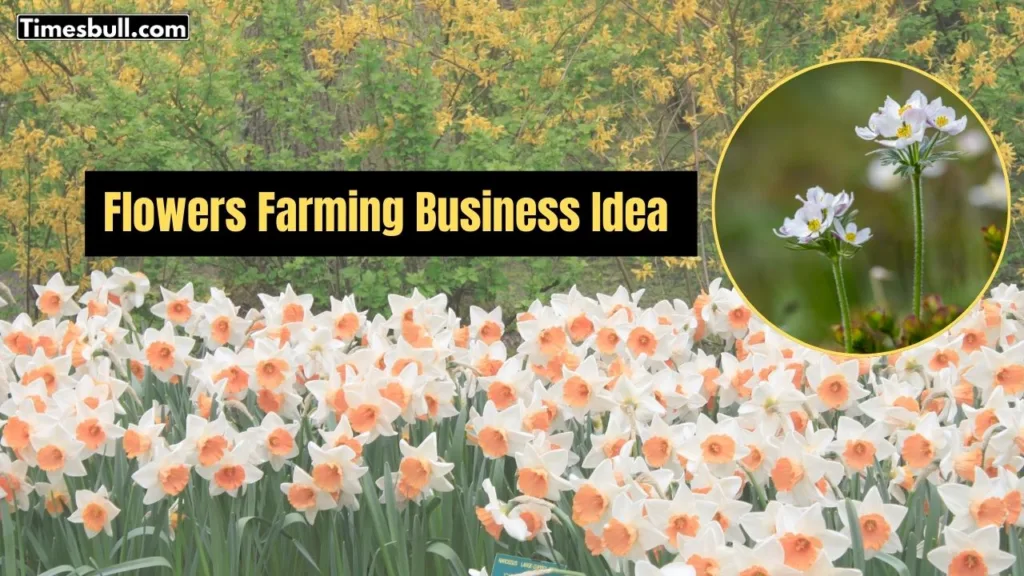 Flowers Farming
