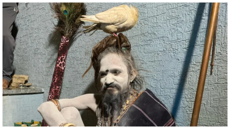 Mahakumbh 2025 – Meet ‘Kabootar Wale Baba’ Carrying A Pigeon On Her Head For 9 Years