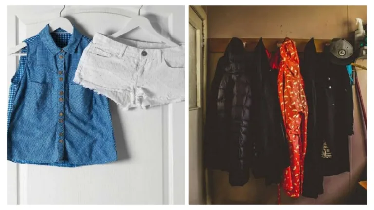 Vastu Tips: दरवाजे के पीछे टांगते हैँ कपड़े तो जान लें क्या कहता है वास्तु शास्त्र!