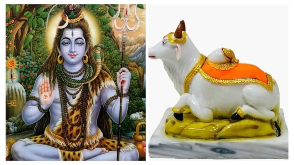 Nandi Puja Niyam: नंदी जी के कान में इस नियम से मांगे मनोकामना, जल्द हो जाएगी पूरी!
