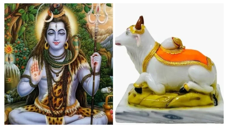 Nandi Puja Niyam: नंदी जी के कान में इस नियम से मांगे मनोकामना, जल्द हो जाएगी पूरी!