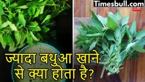 Featured image for: Know what happens if you eat too much Bathua in just one click in Business category