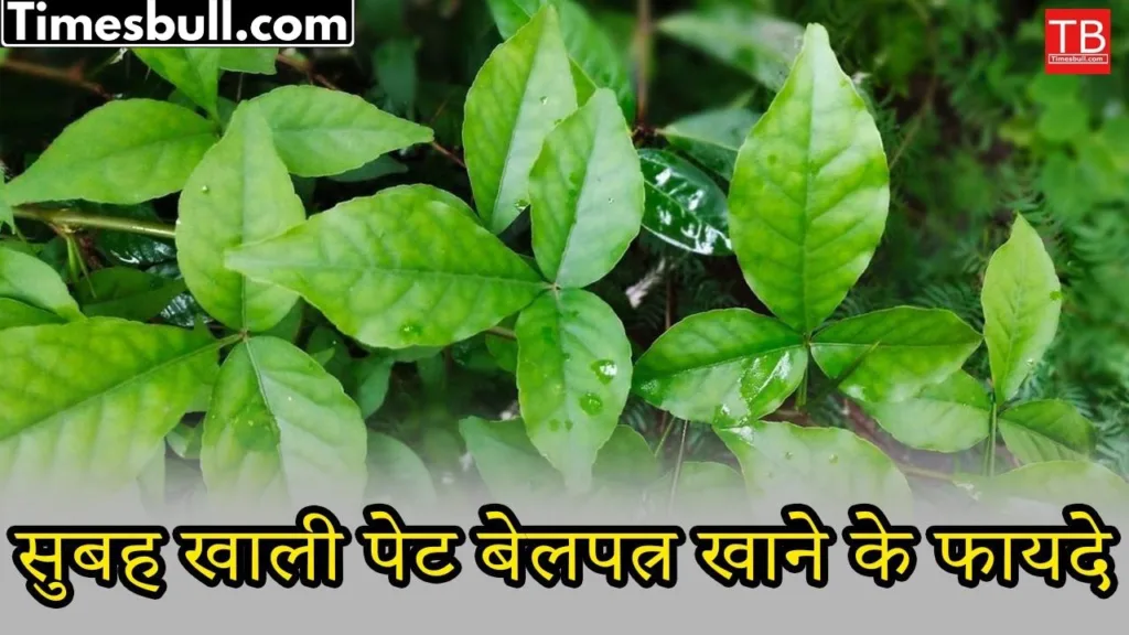 Know the benefits of eating Belpatra every morning
