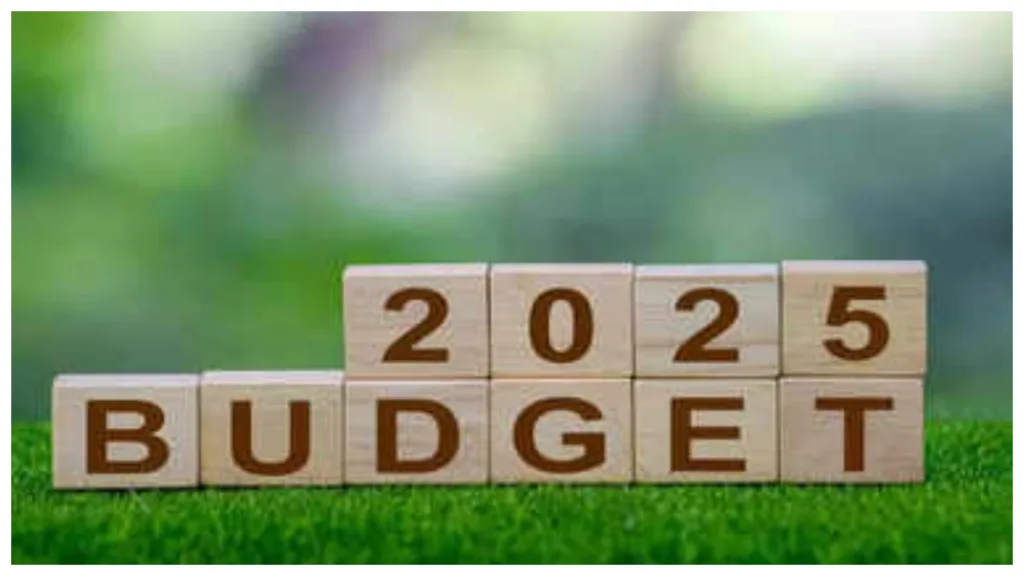 Budget 2025 – Will Government to move new income tax bill? Here What You Must Know