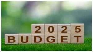 Featured image for: Budget 2025 - Will Government to move new income tax bill? Here What You Must Know in Business category